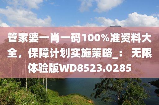 管家婆一肖一码100%准资料大全，保障计划实施策略_： 无限体验版WD8523.0285