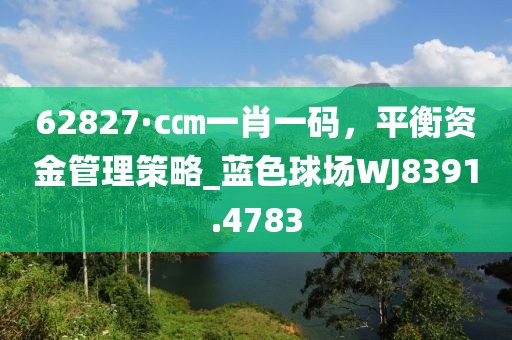 62827·c㎝一肖一码，平衡资金管理策略_蓝色球场WJ8391.4783