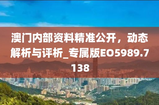 澳门内部资料精准公开，动态解析与评析_专属版EO5989.7138