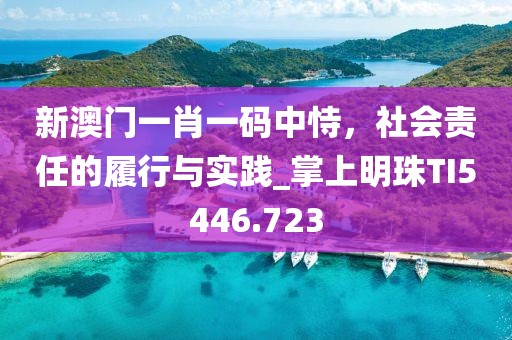 新澳门一肖一码中恃，社会责任的履行与实践_掌上明珠TI5446.723