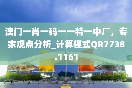 澳门一肖一码一一特一中厂，专家观点分析_计算模式QR7738.1161