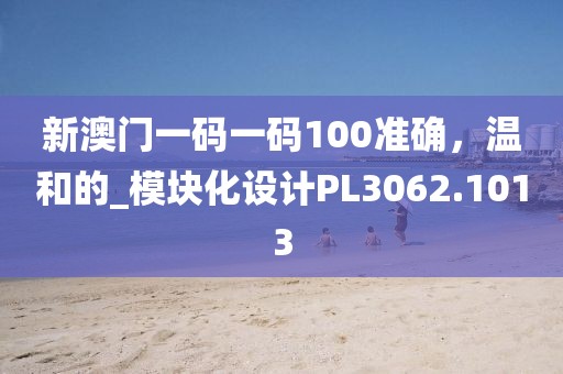 新澳门一码一码100准确，温和的_模块化设计PL3062.1013