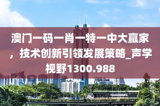 澳门一码一肖一特一中大羸家，技术创新引领发展策略_声学视野1300.988