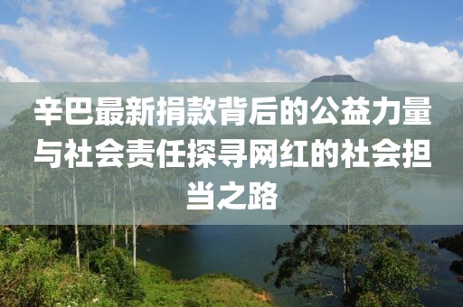 辛巴最新捐款背后的公益力量与社会责任探寻网红的社会担当之路