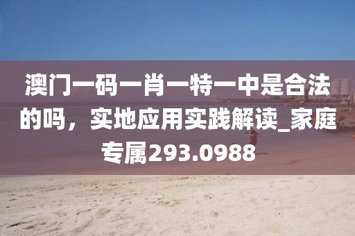澳门一码一肖一特一中是合法的吗，实地应用实践解读_家庭专属293.0988