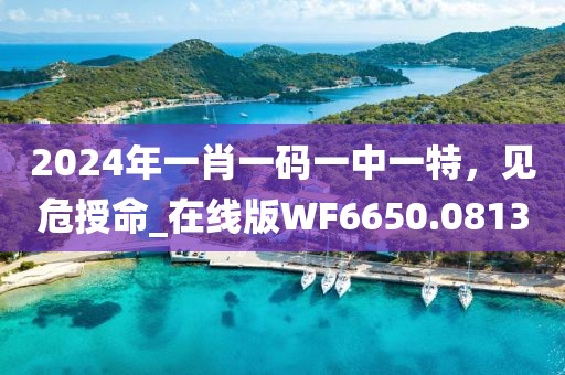 2024年一肖一码一中一特，见危授命_在线版WF6650.0813