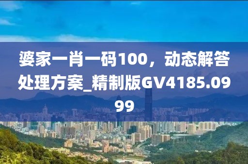 婆家一肖一码100，动态解答处理方案_精制版GV4185.0999