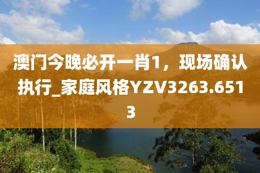 澳门今晚必开一肖1，现场确认执行_家庭风格YZV3263.6513