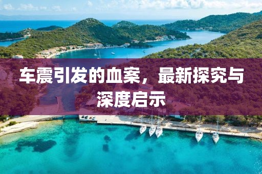 车震引发的血案，最新探究与深度启示