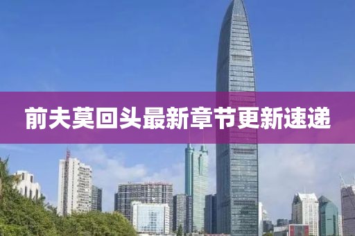 前夫莫回头最新章节更新速递
