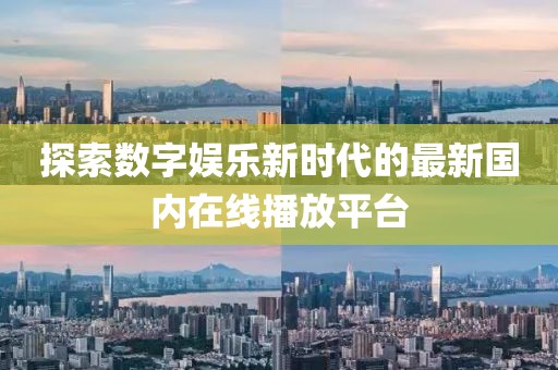 探索数字娱乐新时代的最新国内在线播放平台