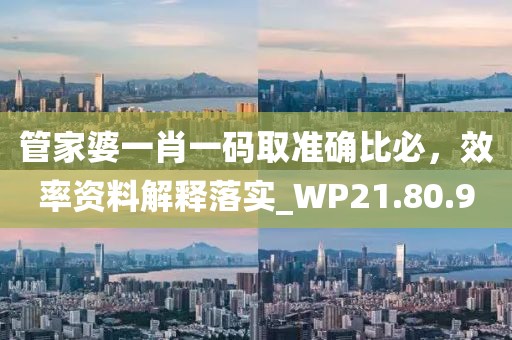 管家婆一肖一码取准确比必，效率资料解释落实_WP21.80.90