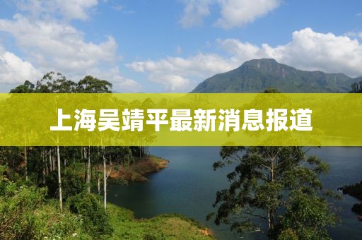 上海吴靖平最新消息报道