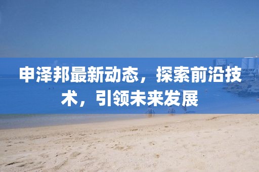 申泽邦最新动态，探索前沿技术，引领未来发展