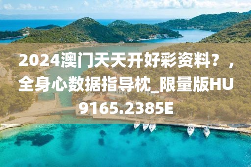 2024澳门天天开好彩资料？，全身心数据指导枕_限量版HU9165.2385E