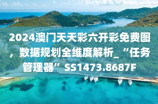 2024澳门天天彩六开彩免费图，数据规划全维度解析_“任务管理器”SS1473.8687F