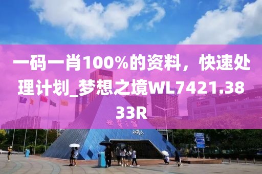 一码一肖100%的资料，快速处理计划_梦想之境WL7421.3833R