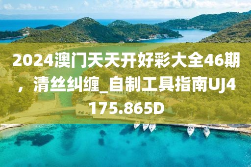 2024澳门天天开好彩大全46期，清丝纠缠_自制工具指南UJ4175.865D