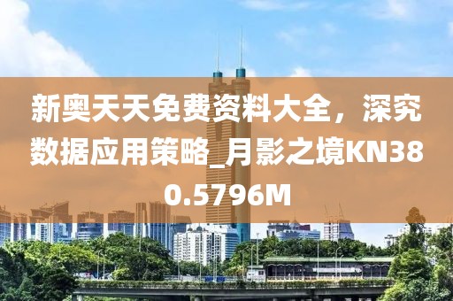 新奥天天免费资料大全，深究数据应用策略_月影之境KN380.5796M