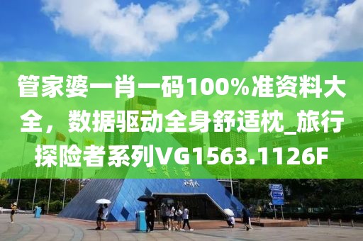管家婆一肖一码100%准资料大全，数据驱动全身舒适枕_旅行探险者系列VG1563.1126F