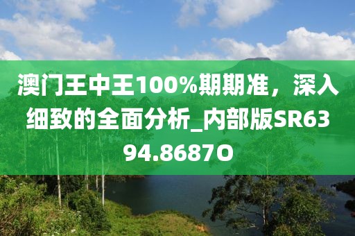 澳门王中王100%期期准，深入细致的全面分析_内部版SR6394.8687O