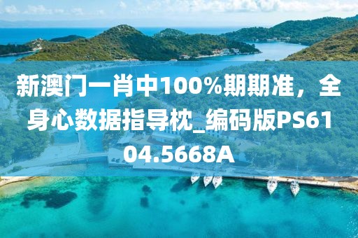 新澳门一肖中100%期期准，全身心数据指导枕_编码版PS6104.5668A