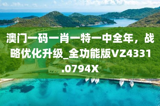 澳门一码一肖一特一中全年，战略优化升级_全功能版VZ4331.0794X