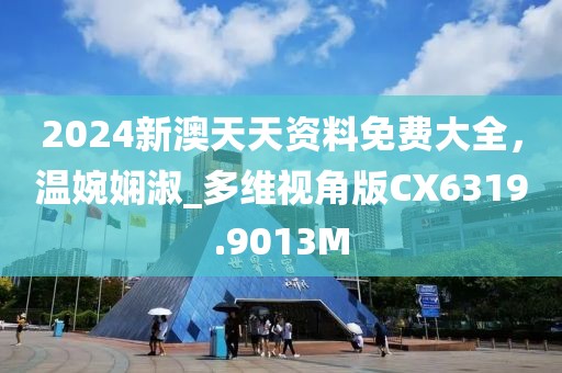 2024新澳天天资料免费大全，温婉娴淑_多维视角版CX6319.9013M