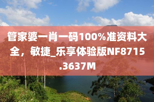 管家婆一肖一码100%准资料大全，敏捷_乐享体验版NF8715.3637M