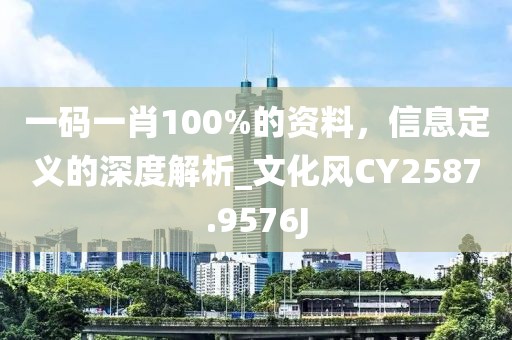 一码一肖100%的资料，信息定义的深度解析_文化风CY2587.9576J