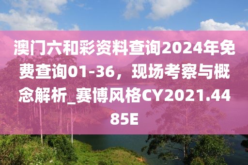 澳门六和彩资料查询2024年免费查询01-36，现场考察与概念解析_赛博风格CY2021.4485E