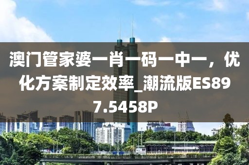 澳门管家婆一肖一码一中一，优化方案制定效率_潮流版ES897.5458P
