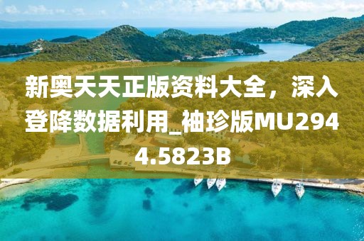 新奥天天正版资料大全，深入登降数据利用_袖珍版MU2944.5823B