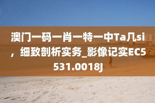 澳门一码一肖一特一中Ta几si，细致剖析实务_影像记实EC5531.0018J