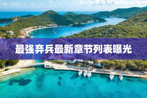 最强弃兵最新章节列表曝光