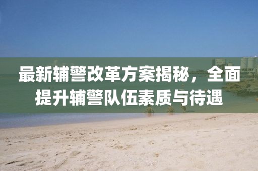 最新辅警改革方案揭秘，全面提升辅警队伍素质与待遇