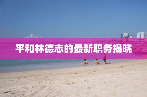 平和林德志的最新职务揭晓