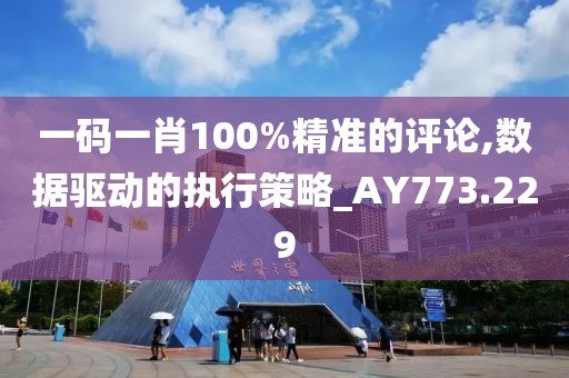 一码一肖100%精准的评论,数据驱动的执行策略_AY773.229