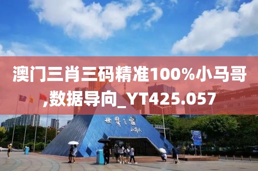 澳门三肖三码精准100%小马哥,数据导向_YT425.057