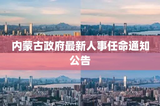 内蒙古政府最新人事任命通知公告