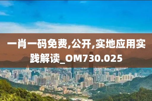 一肖一码免费,公开,实地应用实践解读_OM730.025