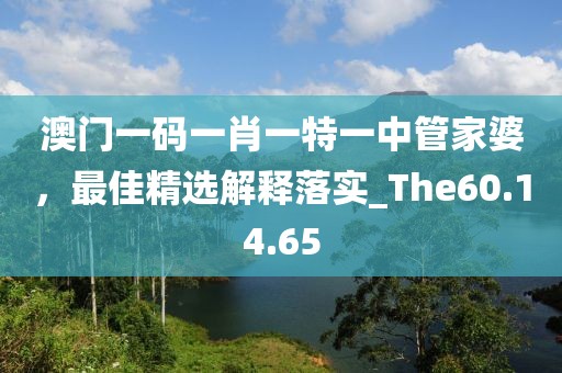 澳门一码一肖一特一中管家婆，最佳精选解释落实_The60.14.65
