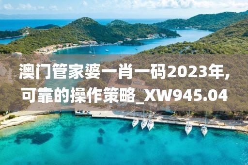 澳门管家婆一肖一码2023年,可靠的操作策略_XW945.04