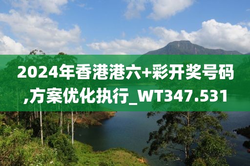 2024年香港港六+彩开奖号码,方案优化执行_WT347.531