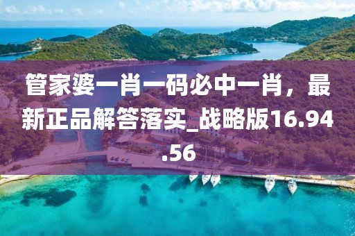 管家婆一肖一码必中一肖，最新正品解答落实_战略版16.94.56