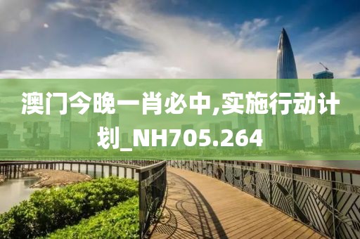 澳门今晚一肖必中,实施行动计划_NH705.264