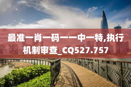 最准一肖一码一一中一特,执行机制审查_CQ527.757
