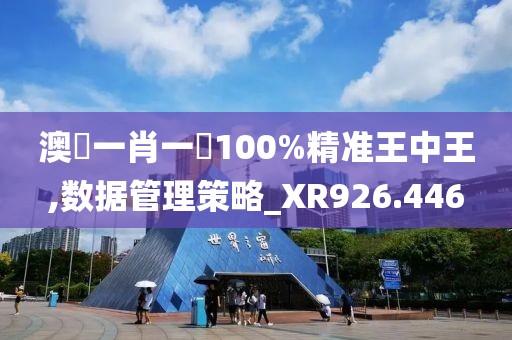 澳門一肖一碼100%精准王中王,数据管理策略_XR926.446
