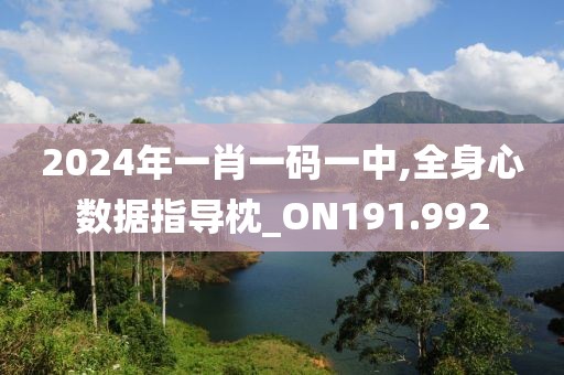 2024年一肖一码一中,全身心数据指导枕_ON191.992