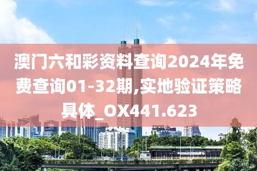 澳门六和彩资料查询2024年免费查询01-32期,实地验证策略具体_OX441.623